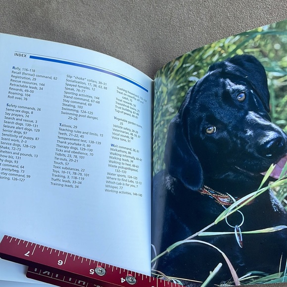 Training your Labrador Retriever softcover Book practical guide instructive - Picture 6 of 7